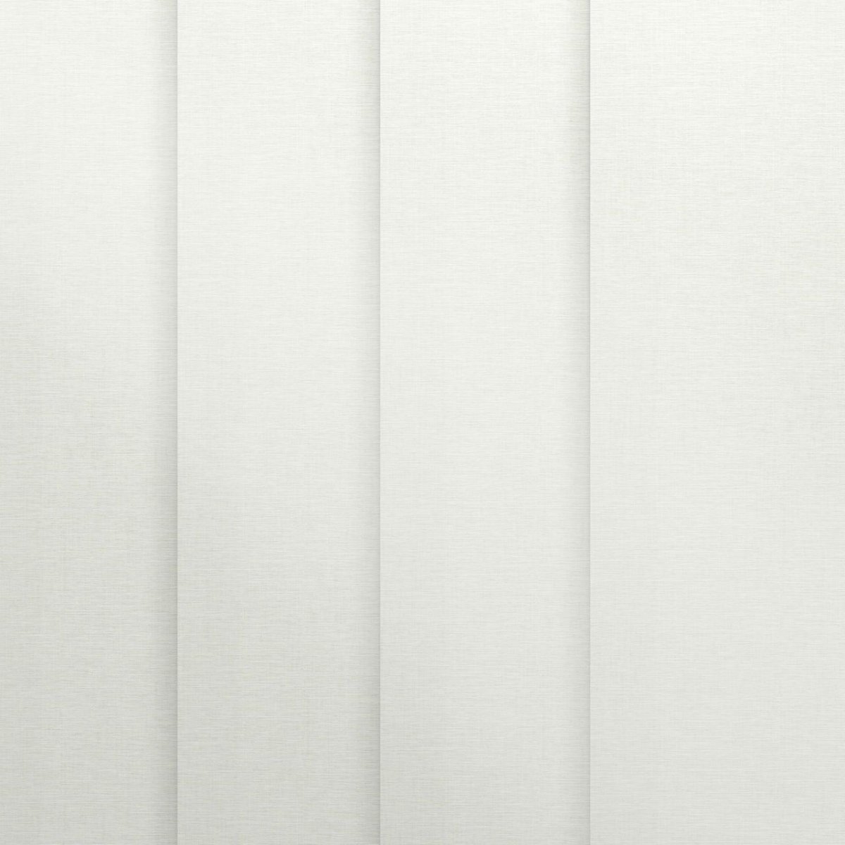 Ashen White - Image 3