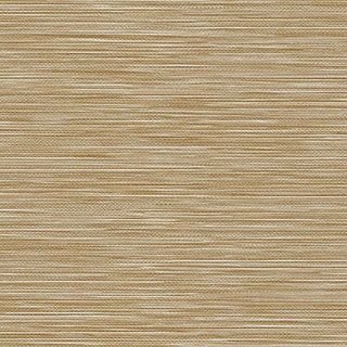 Barely Beige - Image 1