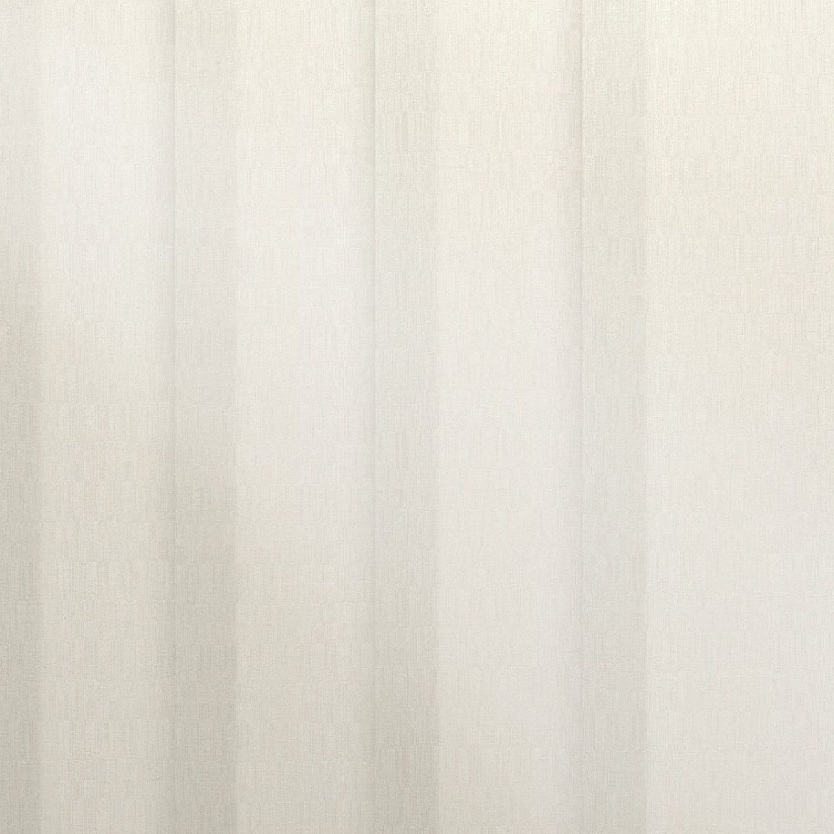 Blank Canvas - Image 3