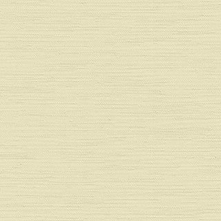 Bone China - Image 1