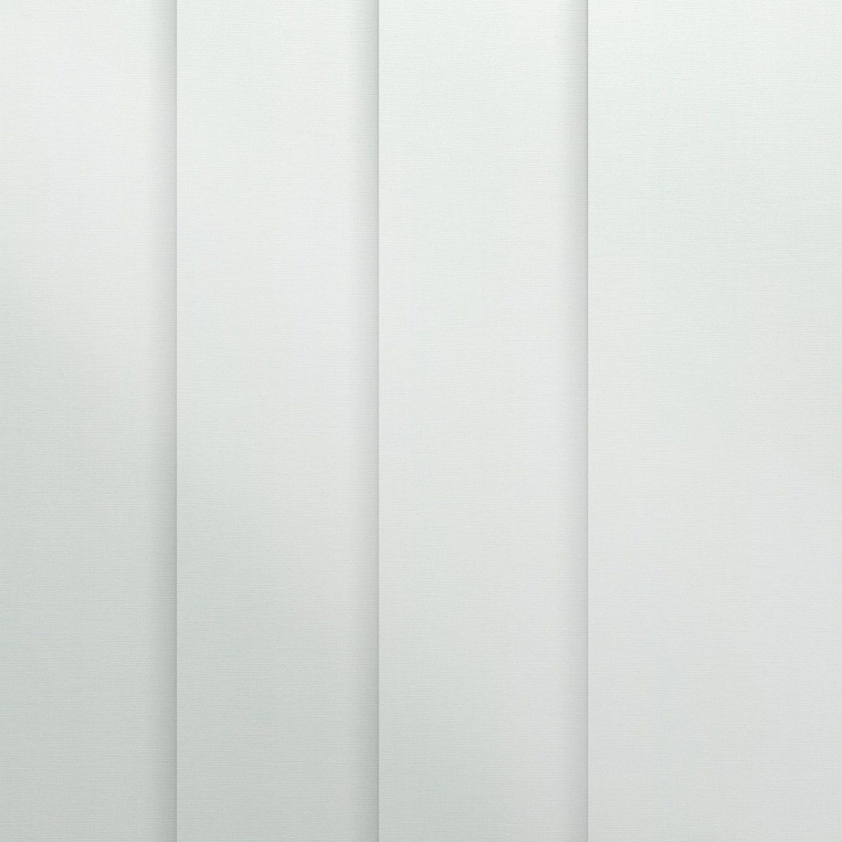 Bone White - Image 3