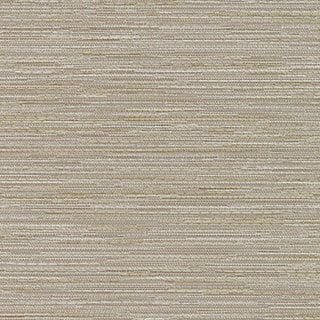 Cappuccino - Image 1