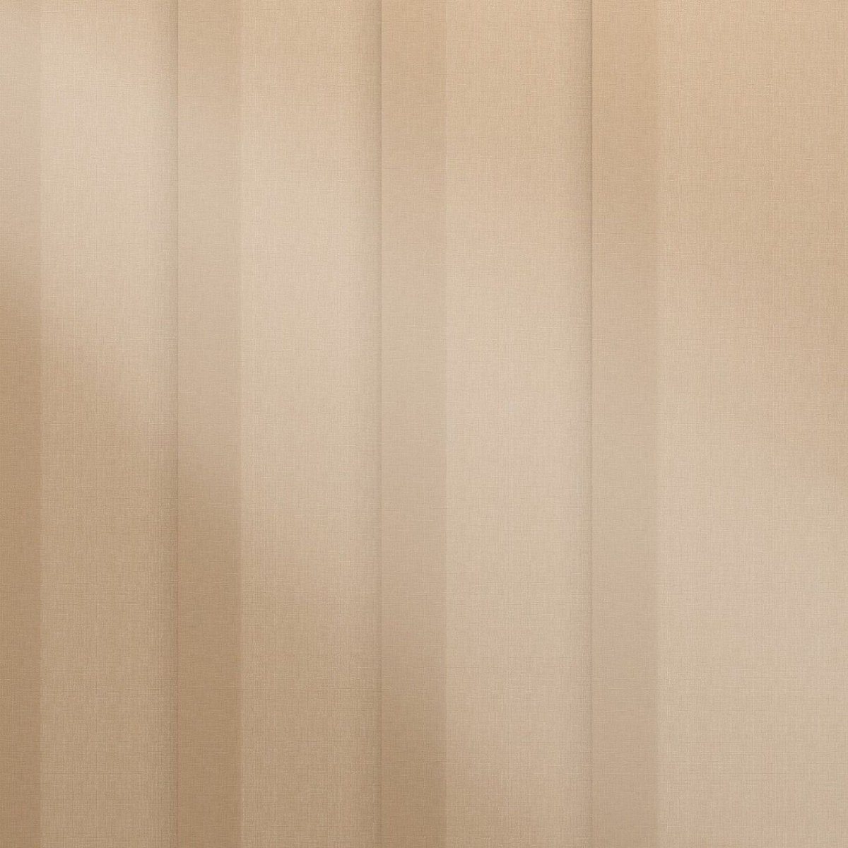 Conch Shell - Image 3