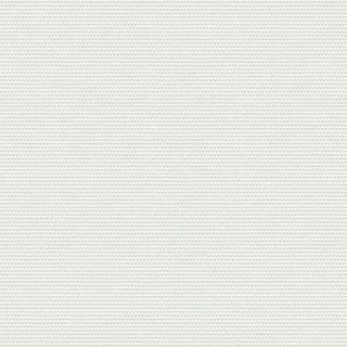 Cottontail - Image 1