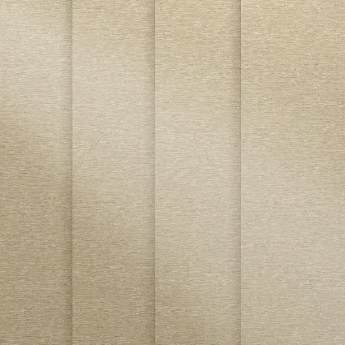 Cream Rose - Image 3