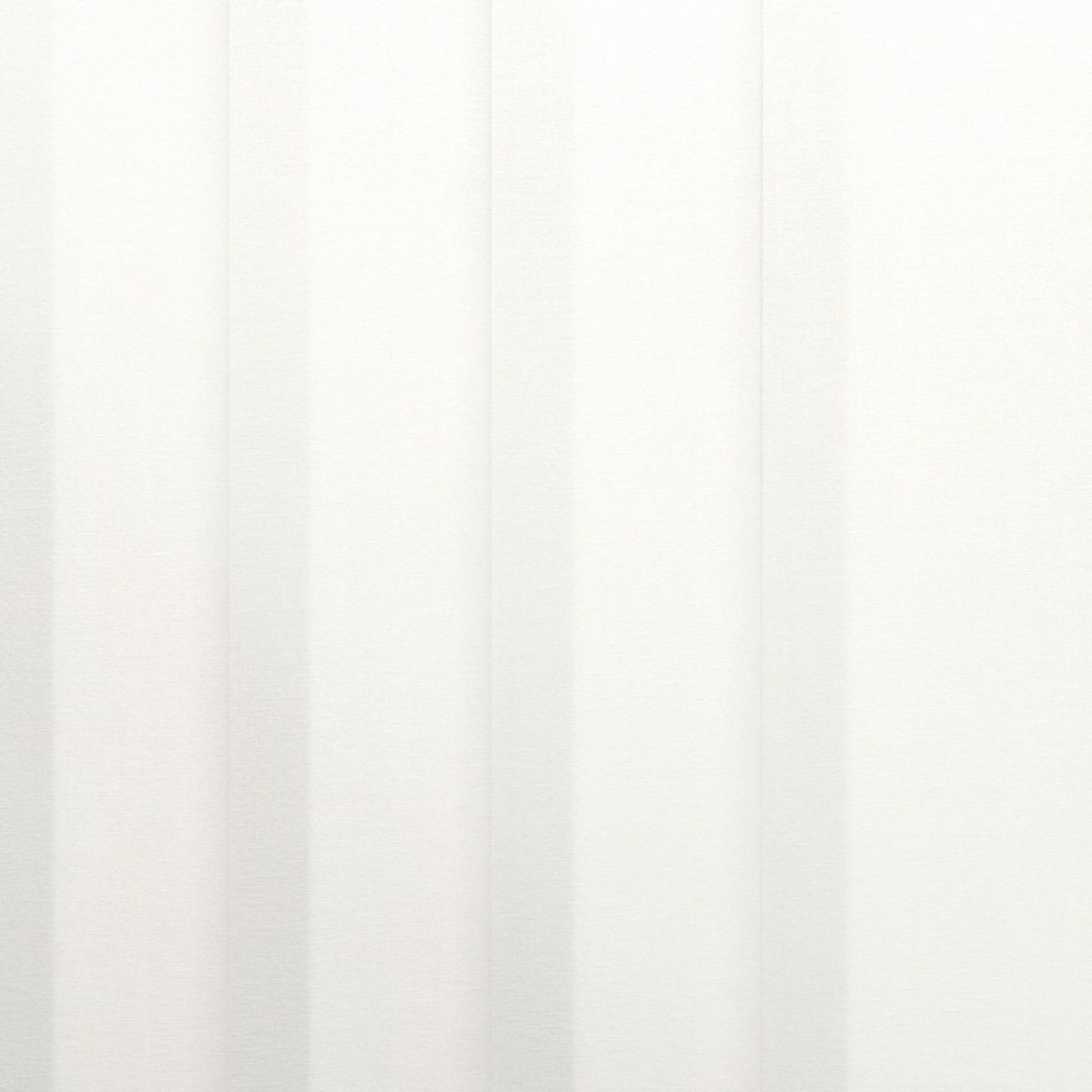 Floral White - Image 3