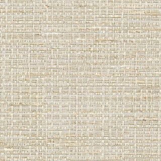 Light Buff - Image 1