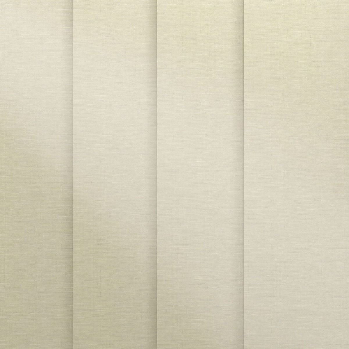 New Neutral - Image 3