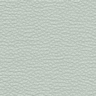 Pale Silver - Image 1