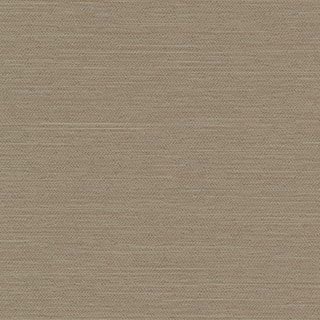 Pappardelle - Image 1