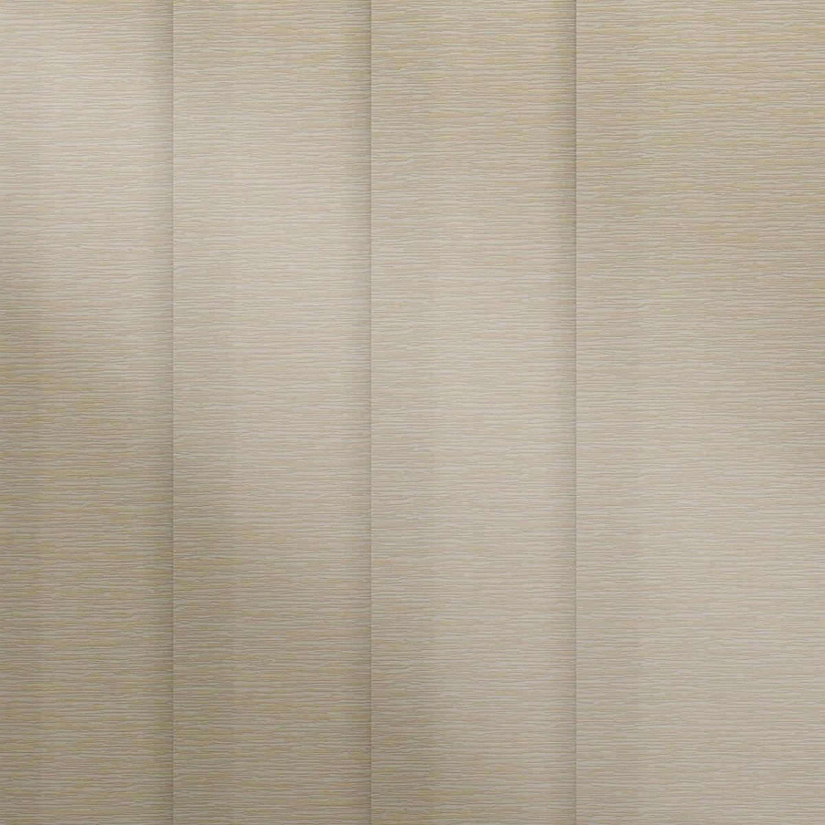 Sand Dollar - Image 3