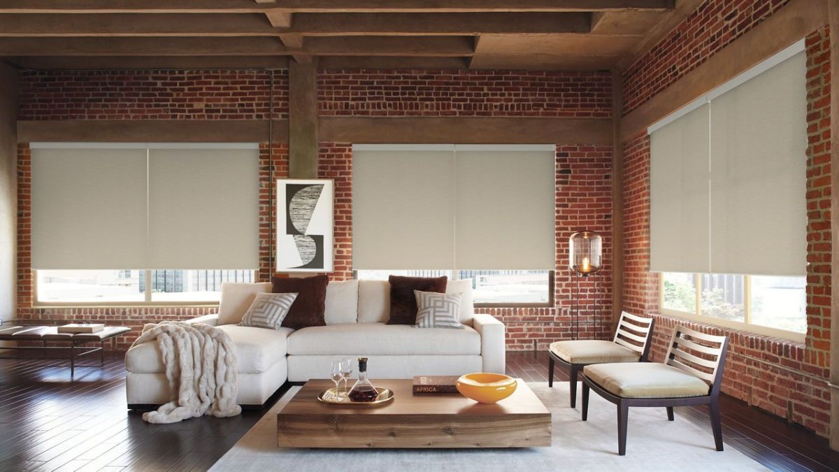 Sand Dollar - Image 2