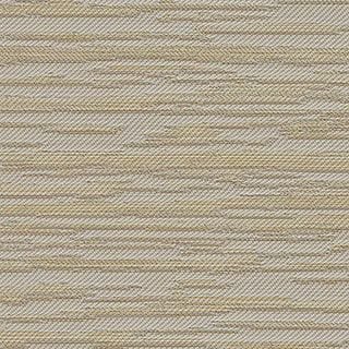 Sand Dollar - Image 1