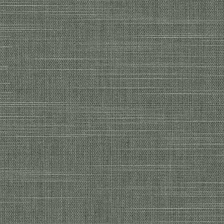 Smokey Gray - Image 1