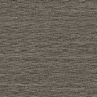 Smokey Taupe - Image 1