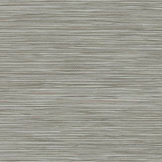 Spun Silver - Image 1