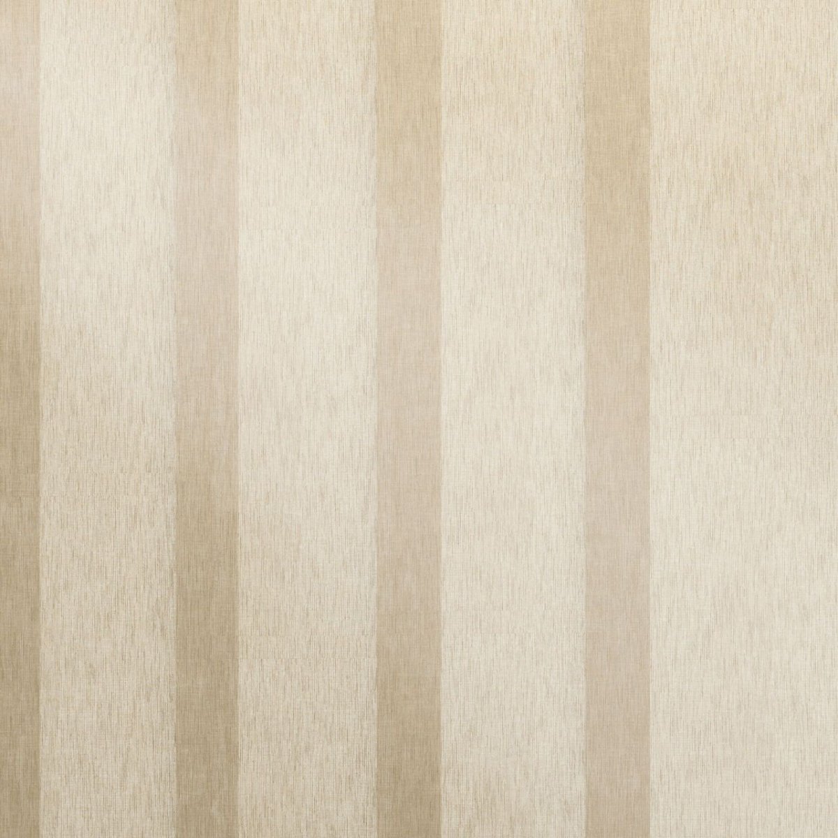 Sugar Cookie - Image 3