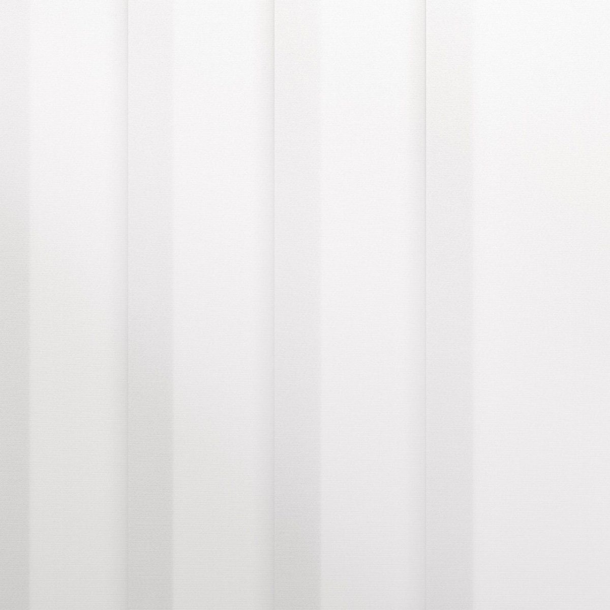 White Dove - Image 3