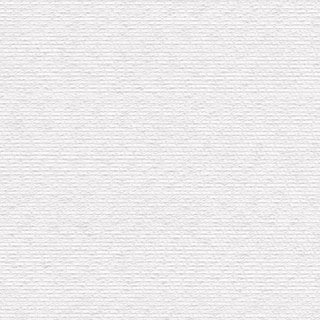 White Dove - Image 1