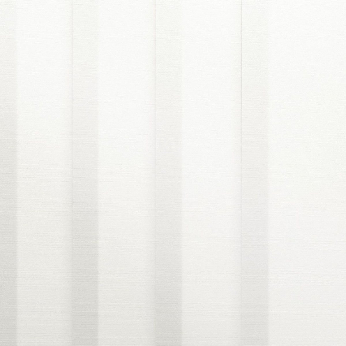 White Lace - Image 3