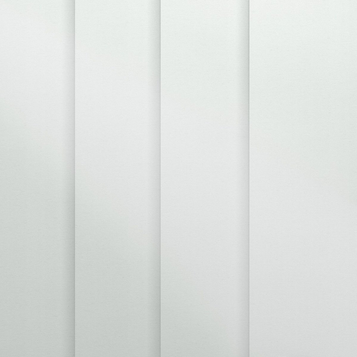 White Lily - Image 3