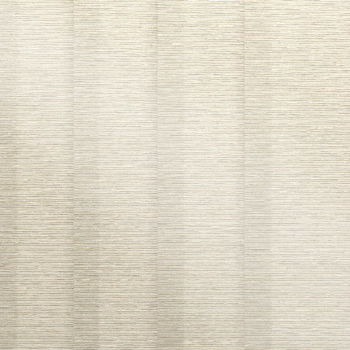 White Magnolia - Image 3