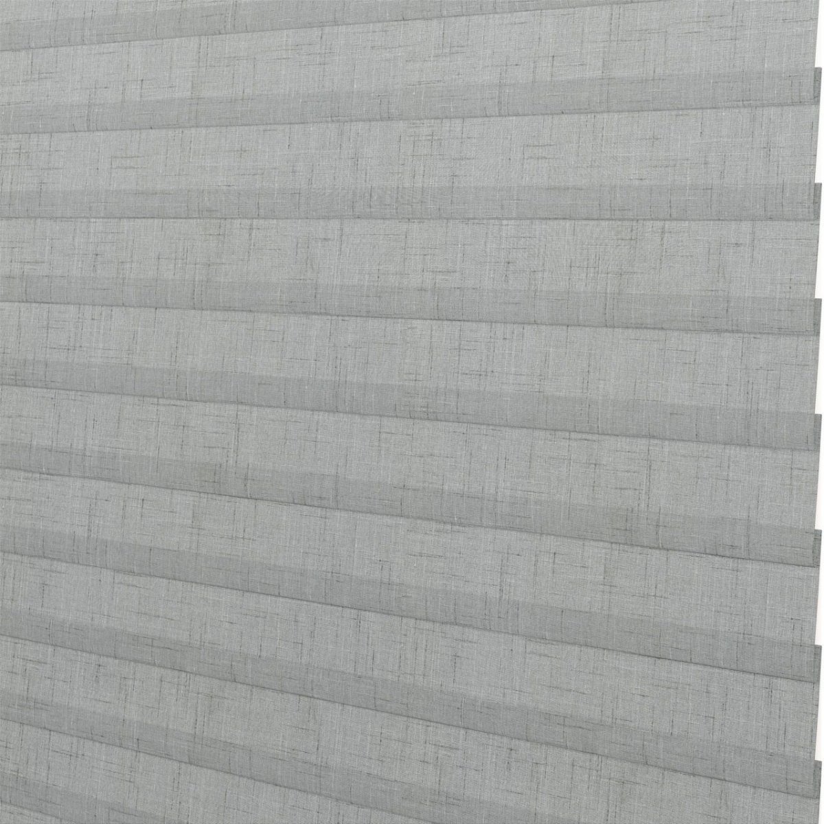 Silver Pine - Image 3